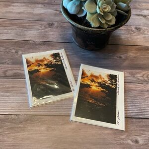 3 for 10 Landscape Photography | Point Lobos Correspondent Card
